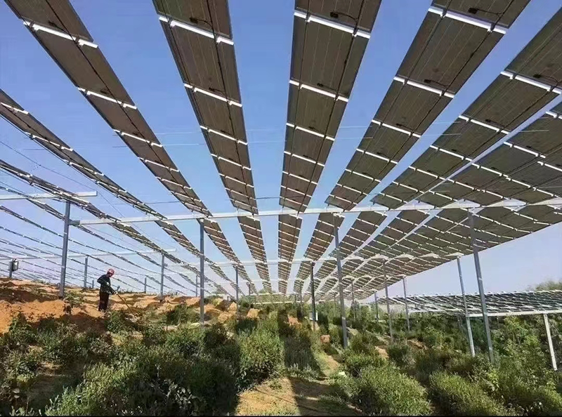 男女羞羞视频大全免费