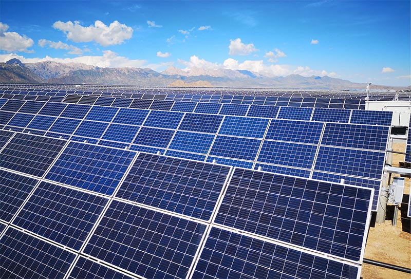 免费观看成人羞羞视频网站