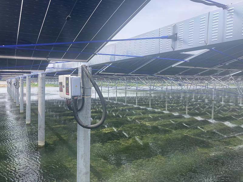 免费观看成人羞羞视频网站